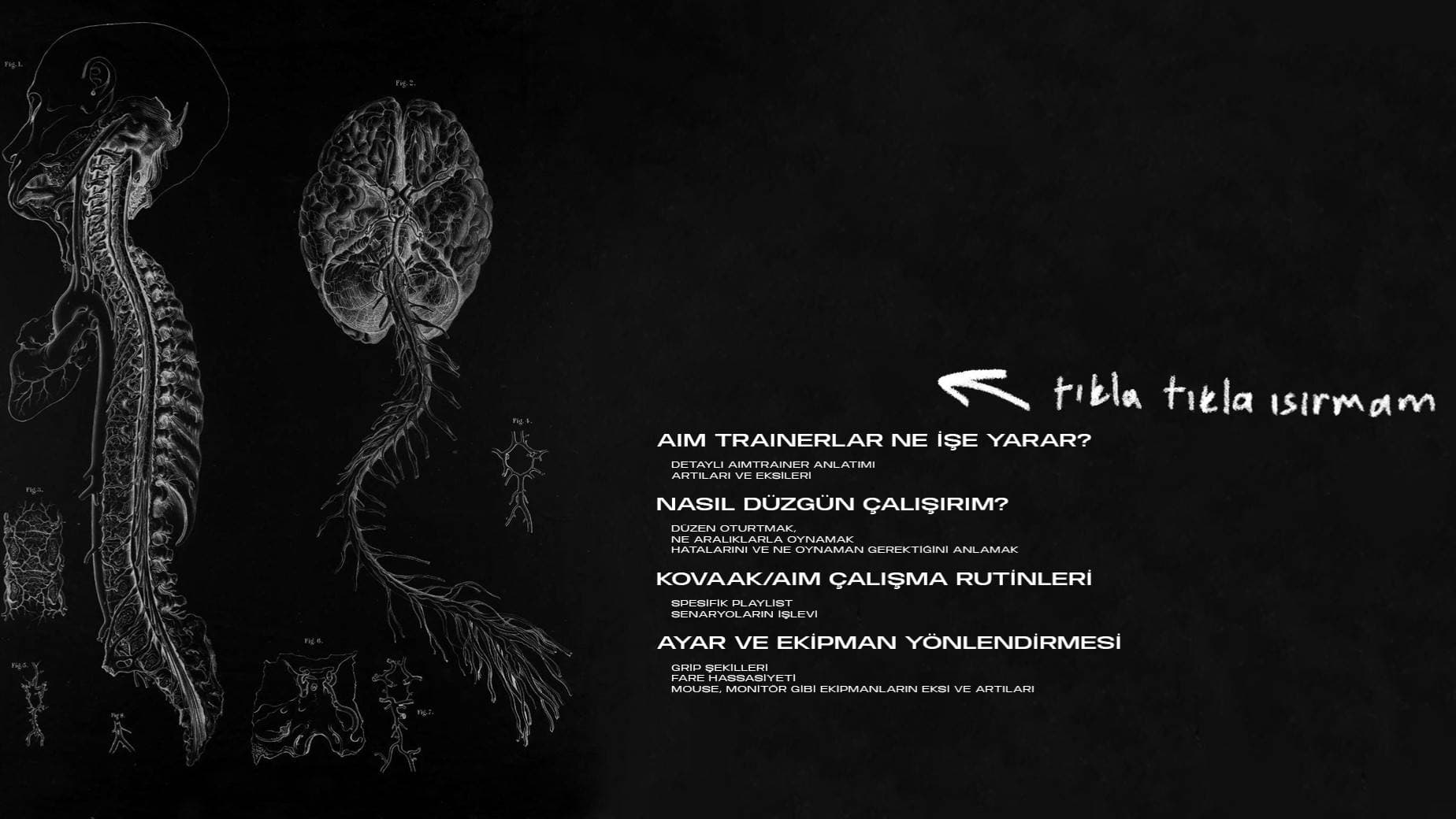user background