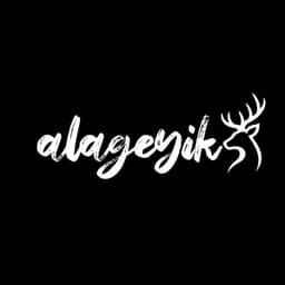 alageyiksetup 