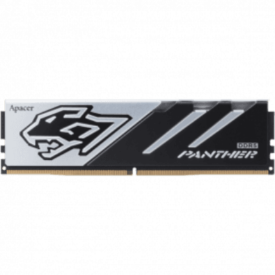 RAM (2x)