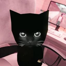 ˚₊‧ blackpaws ‧₊˚