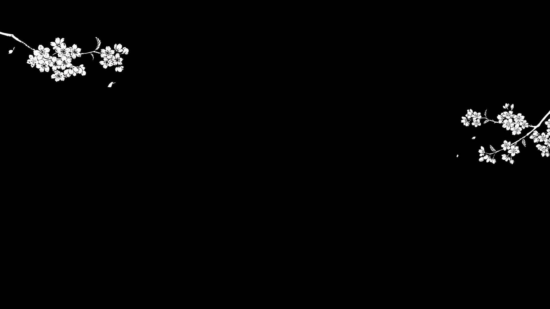 user background