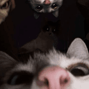 discord icon