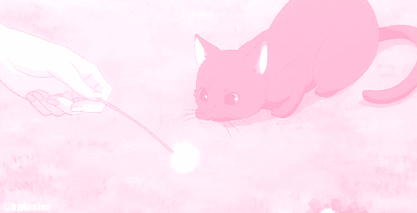 user background