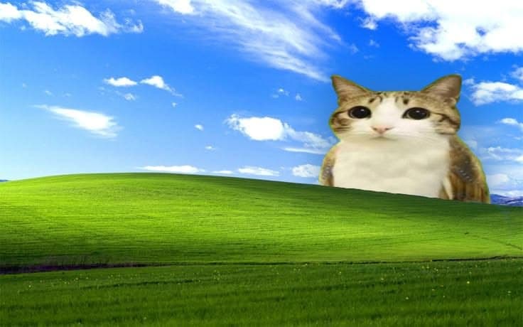 user background