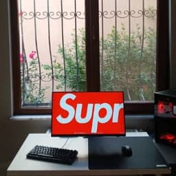 Morvissetup