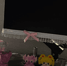 link image