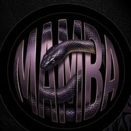 Mamba SETUP