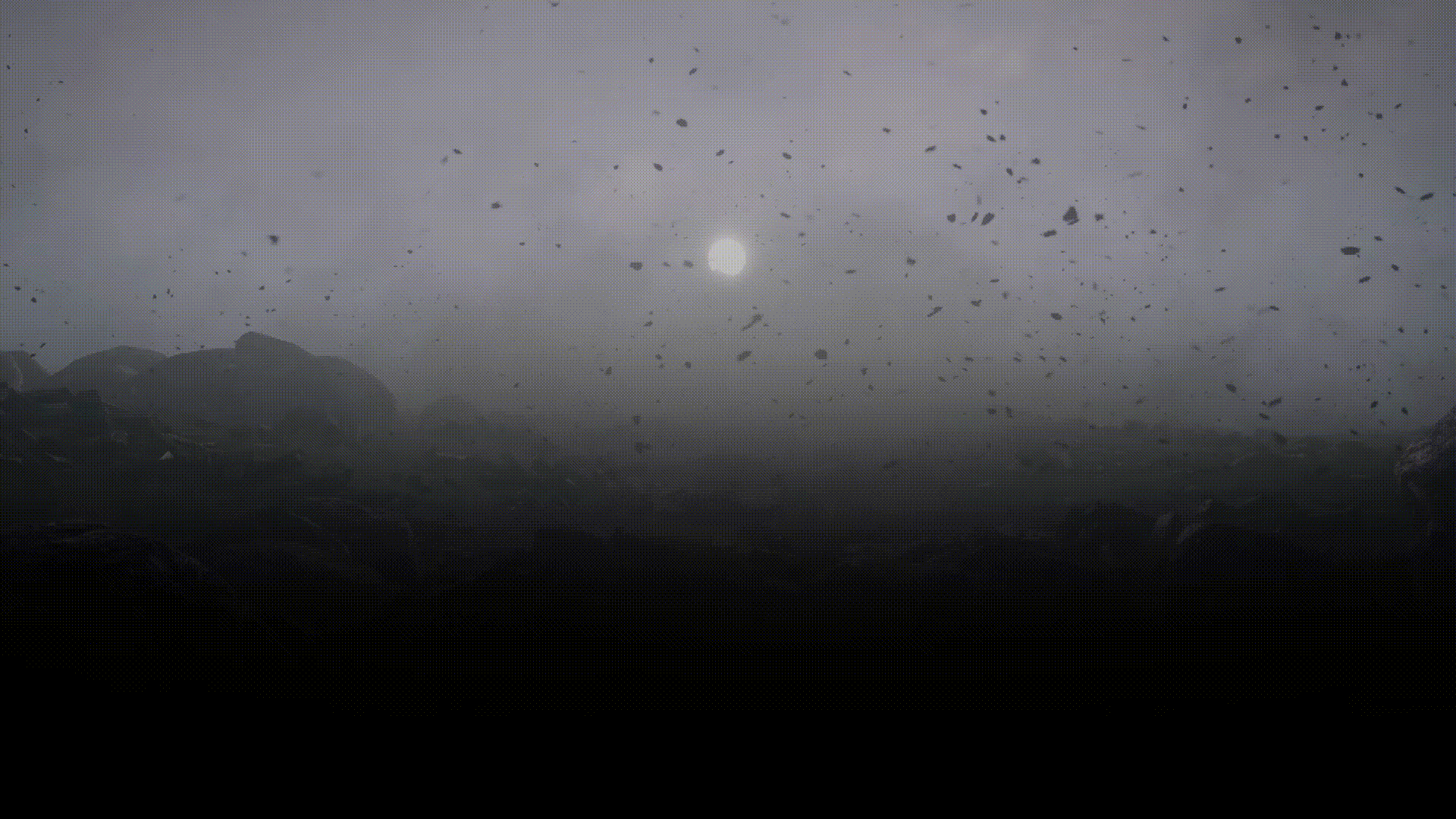 user background