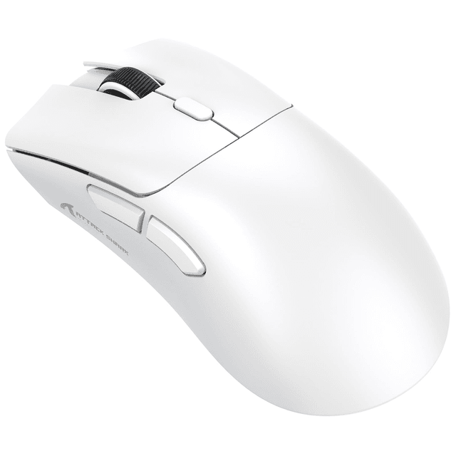 Mouse