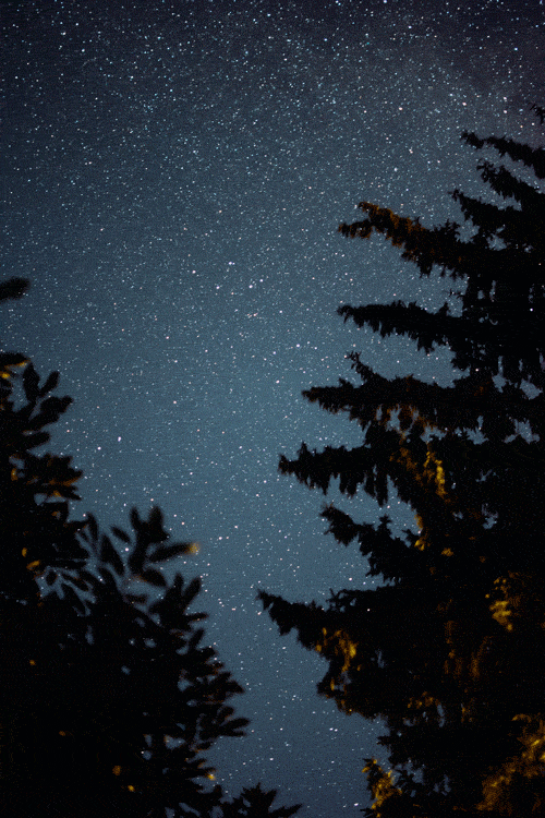 user background