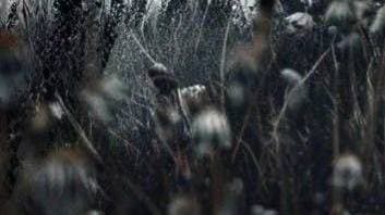 user background