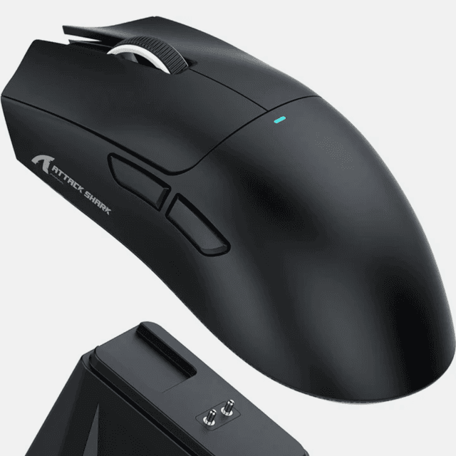 Mouse