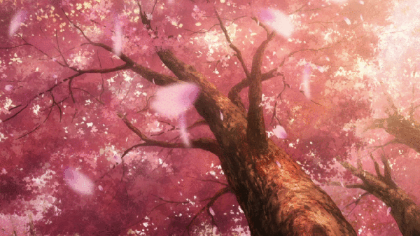 user background