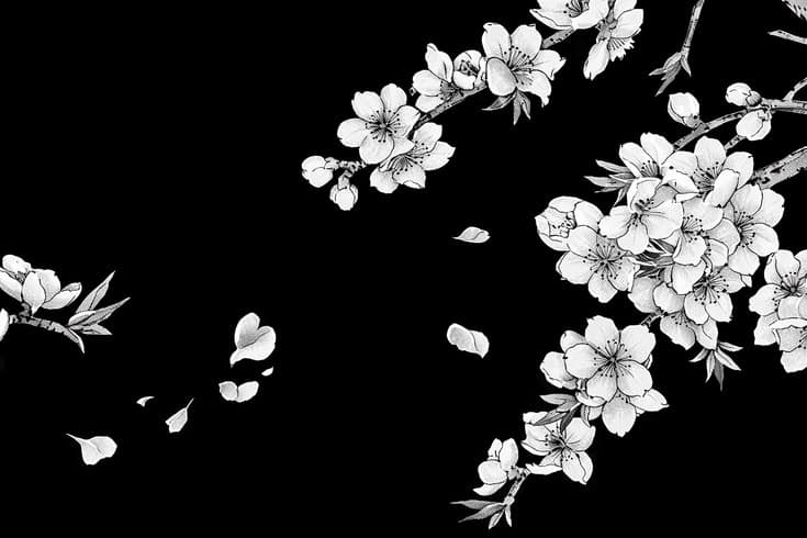 user background