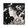 link image