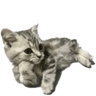 link image