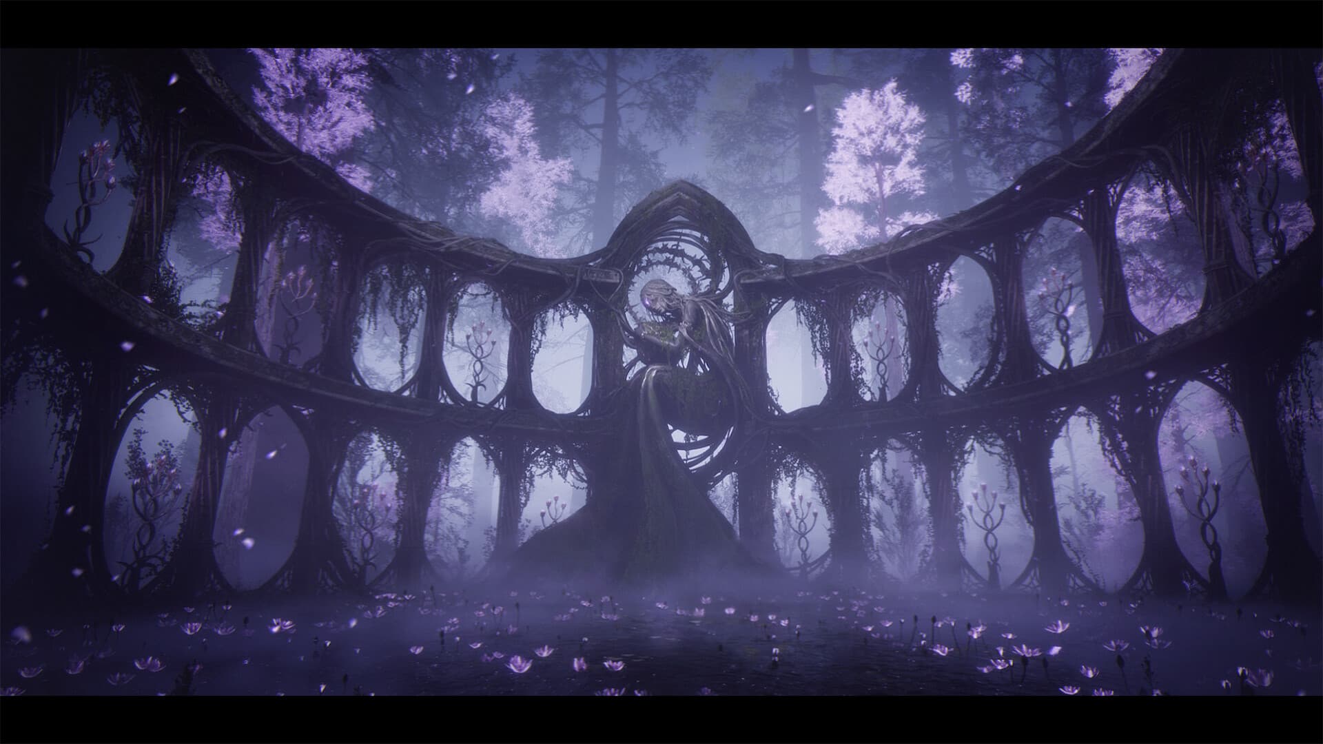 user background