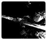 link image