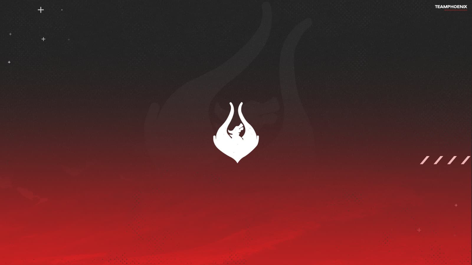 user background