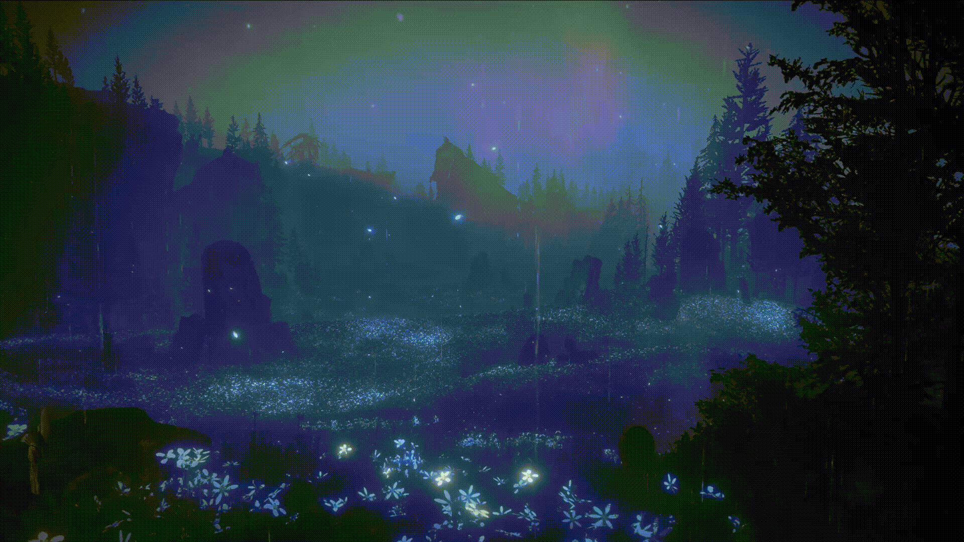 user background