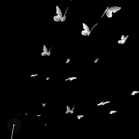 user background