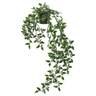 link image