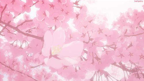 user background