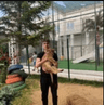 link image