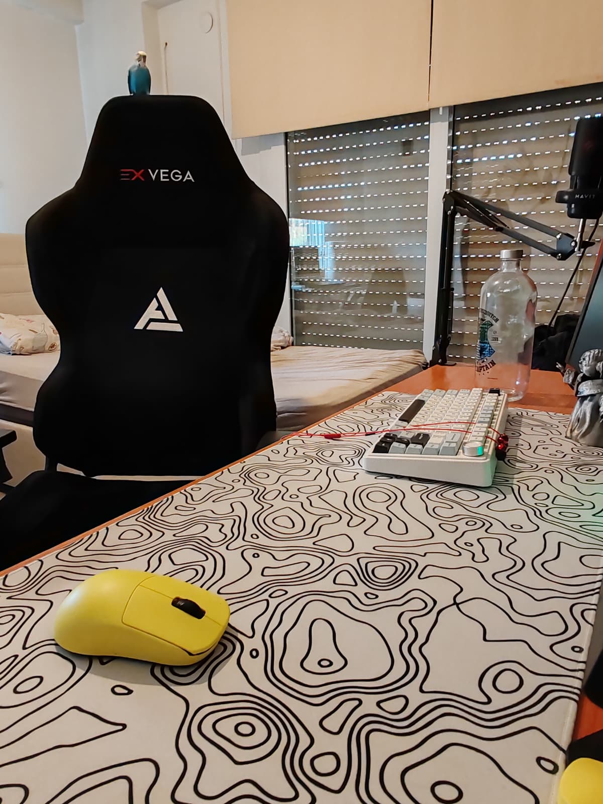 Setup