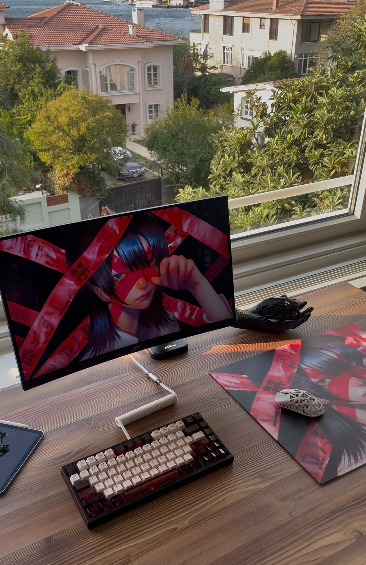 Setup