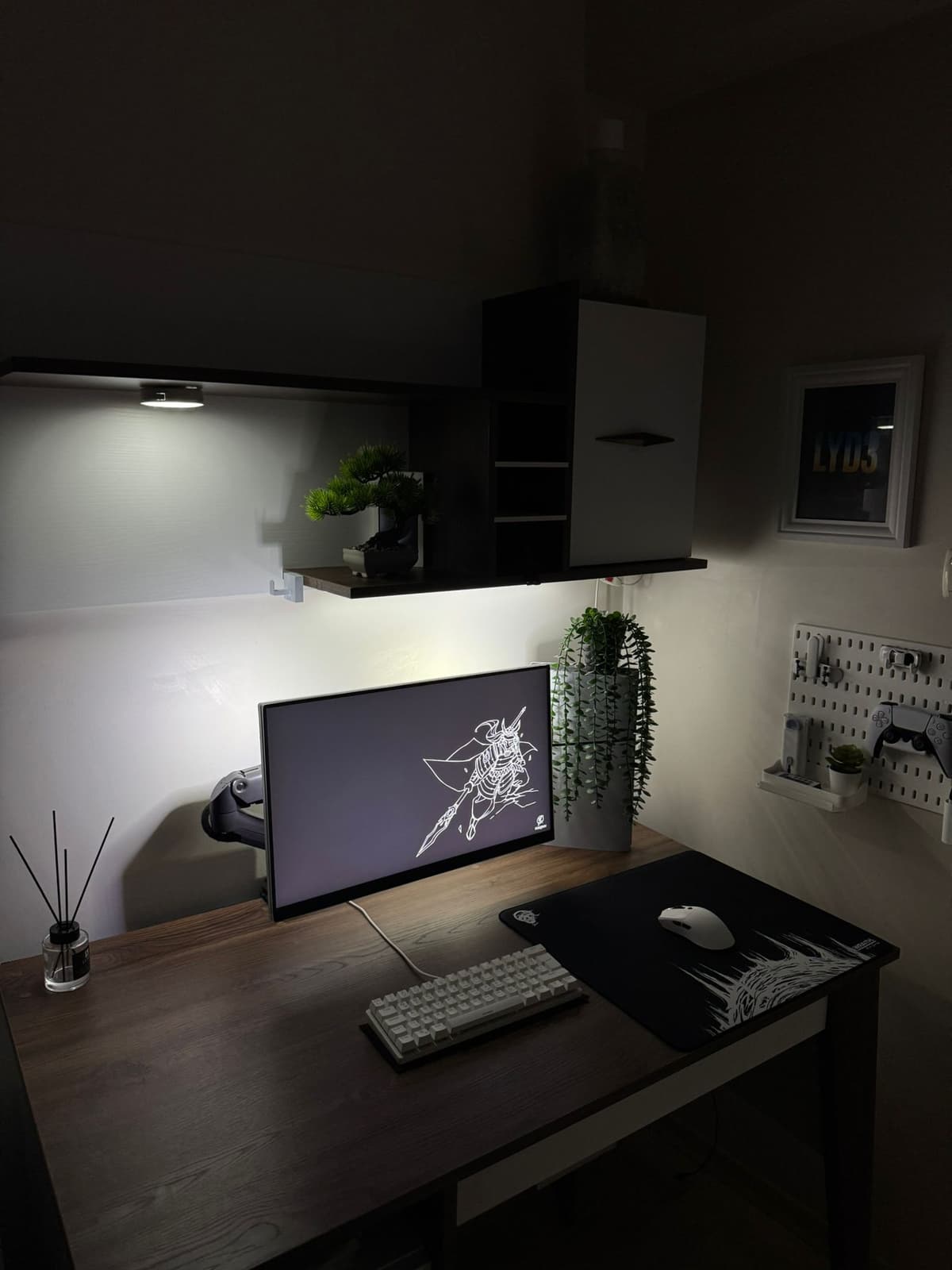 Setup