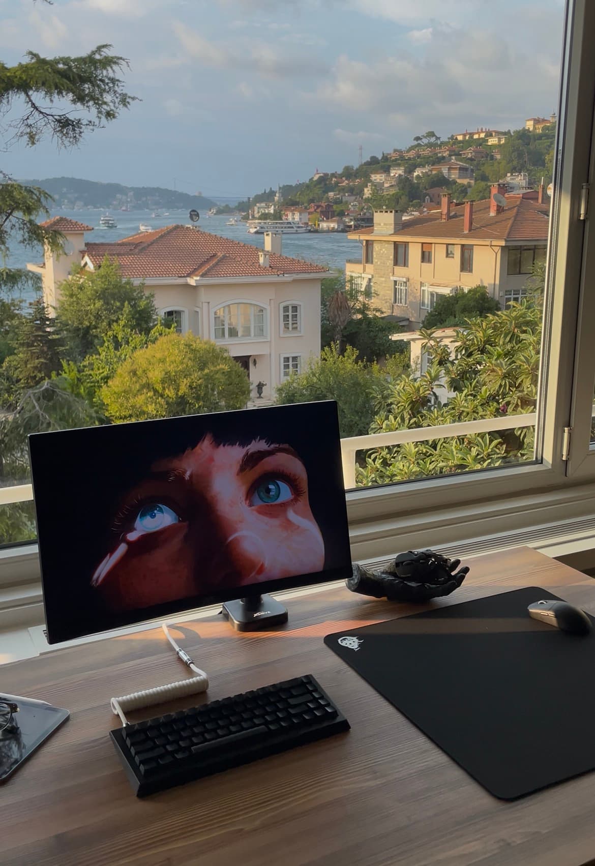 Setup