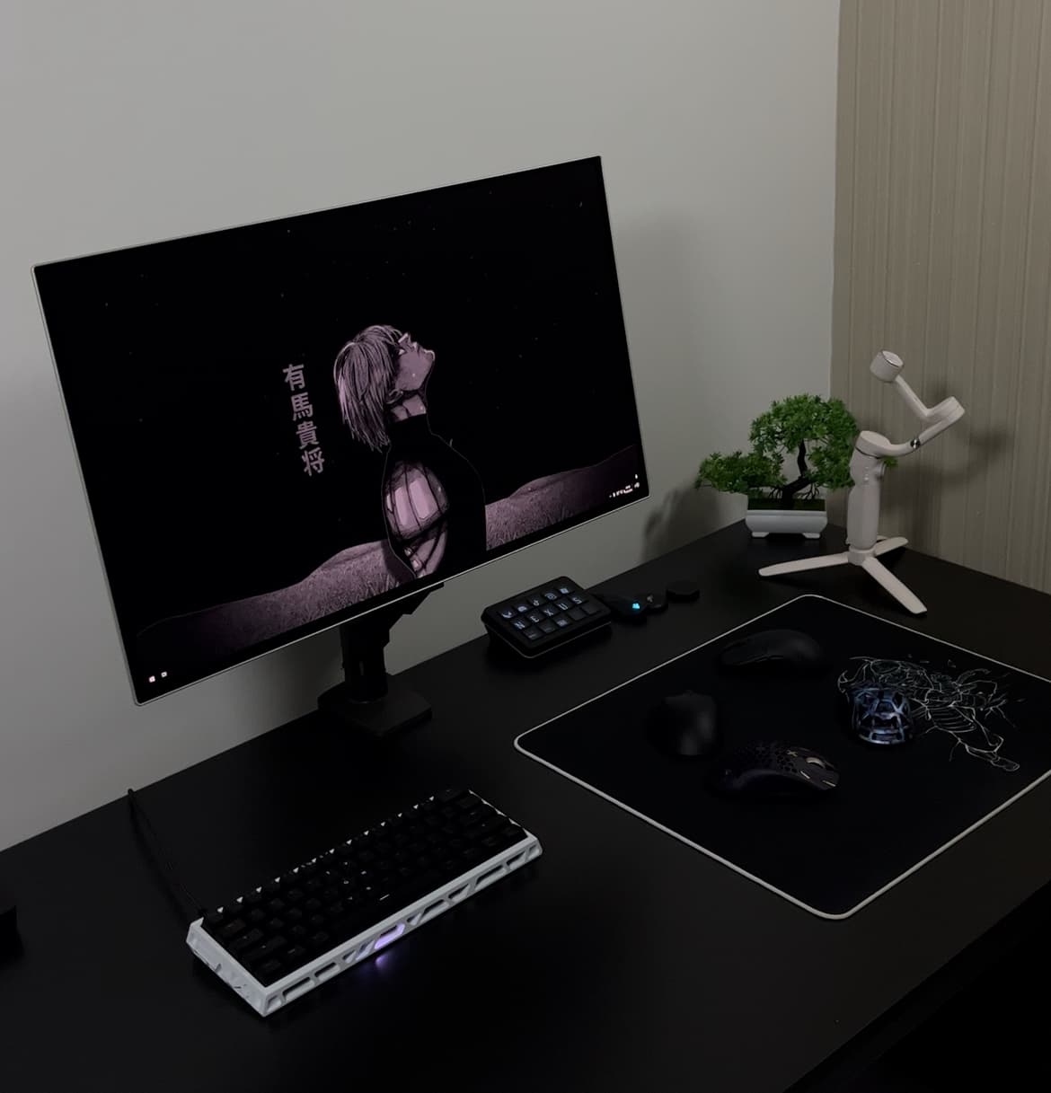 Setup