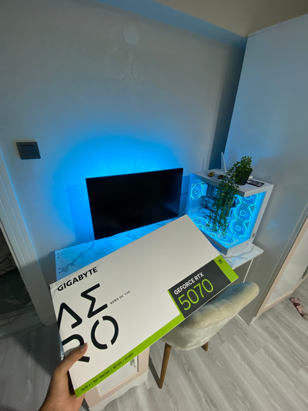 Setup