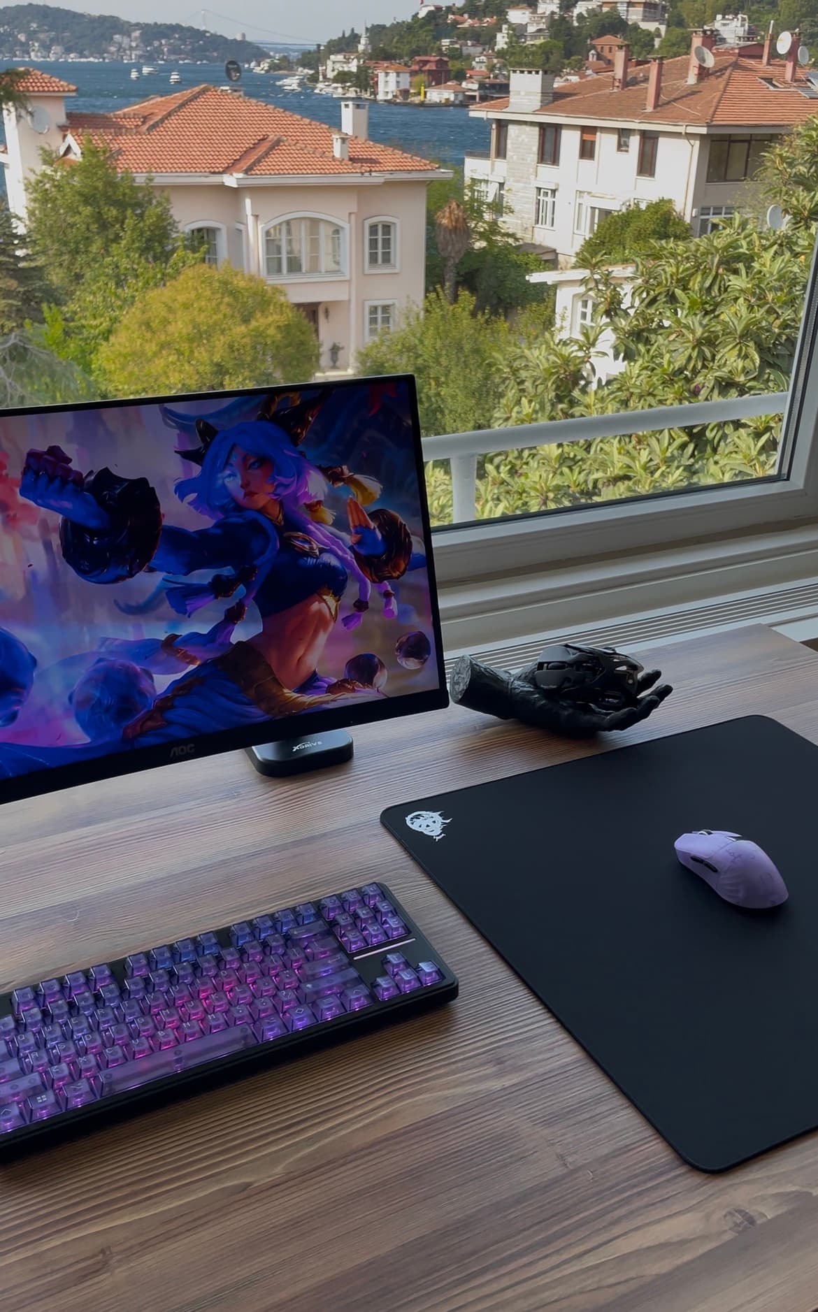 Setup