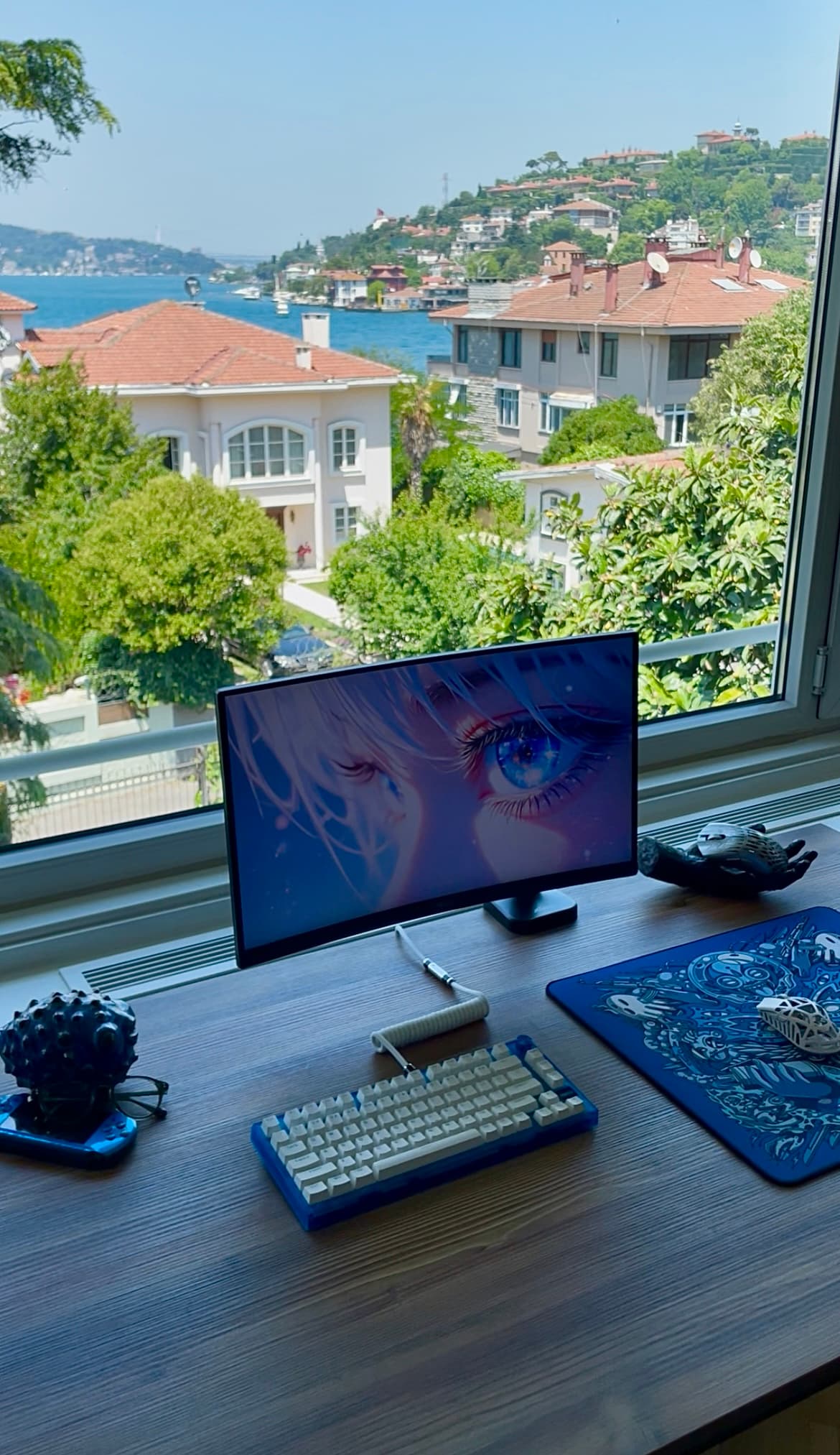 Setup