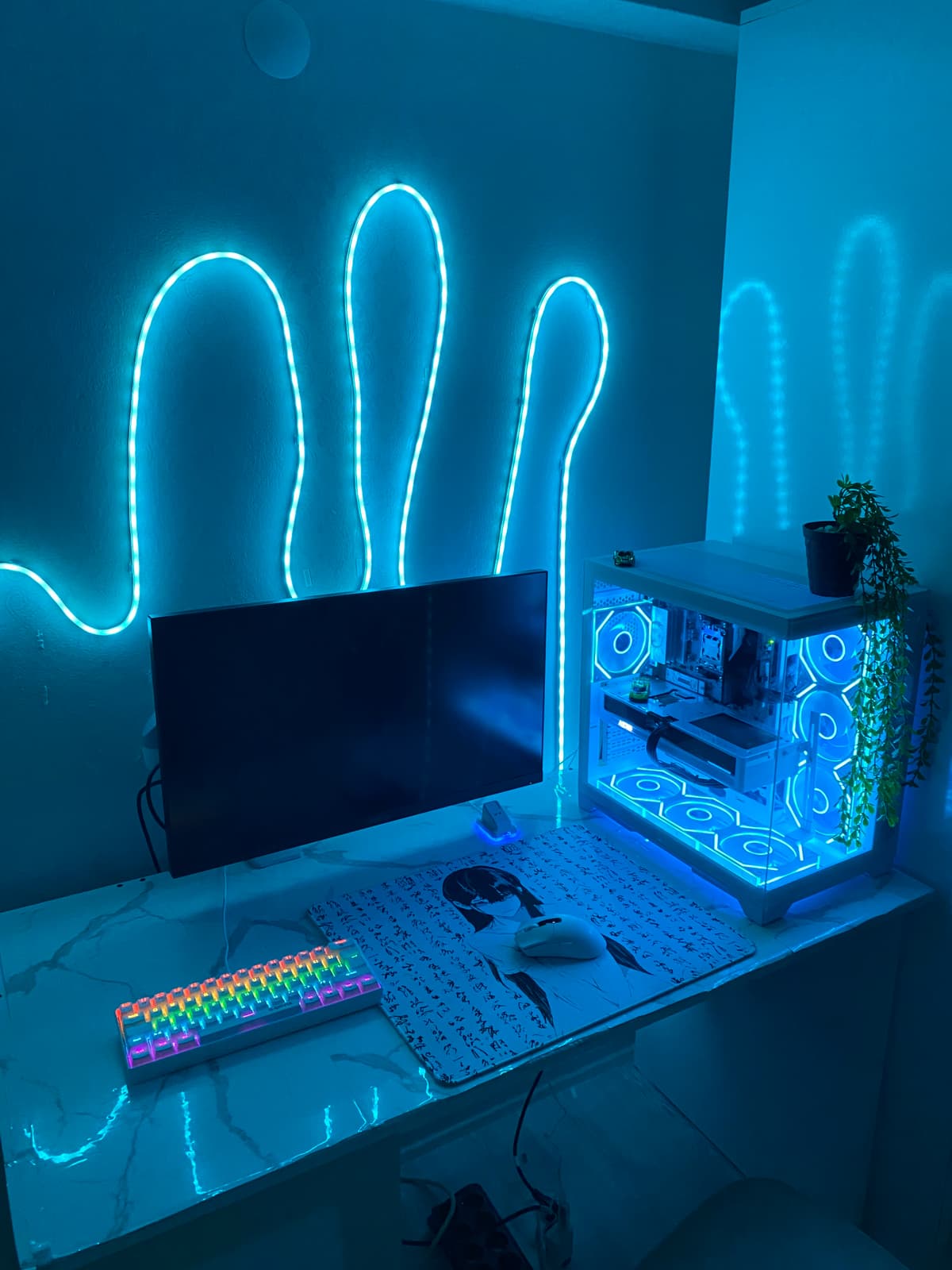 Setup