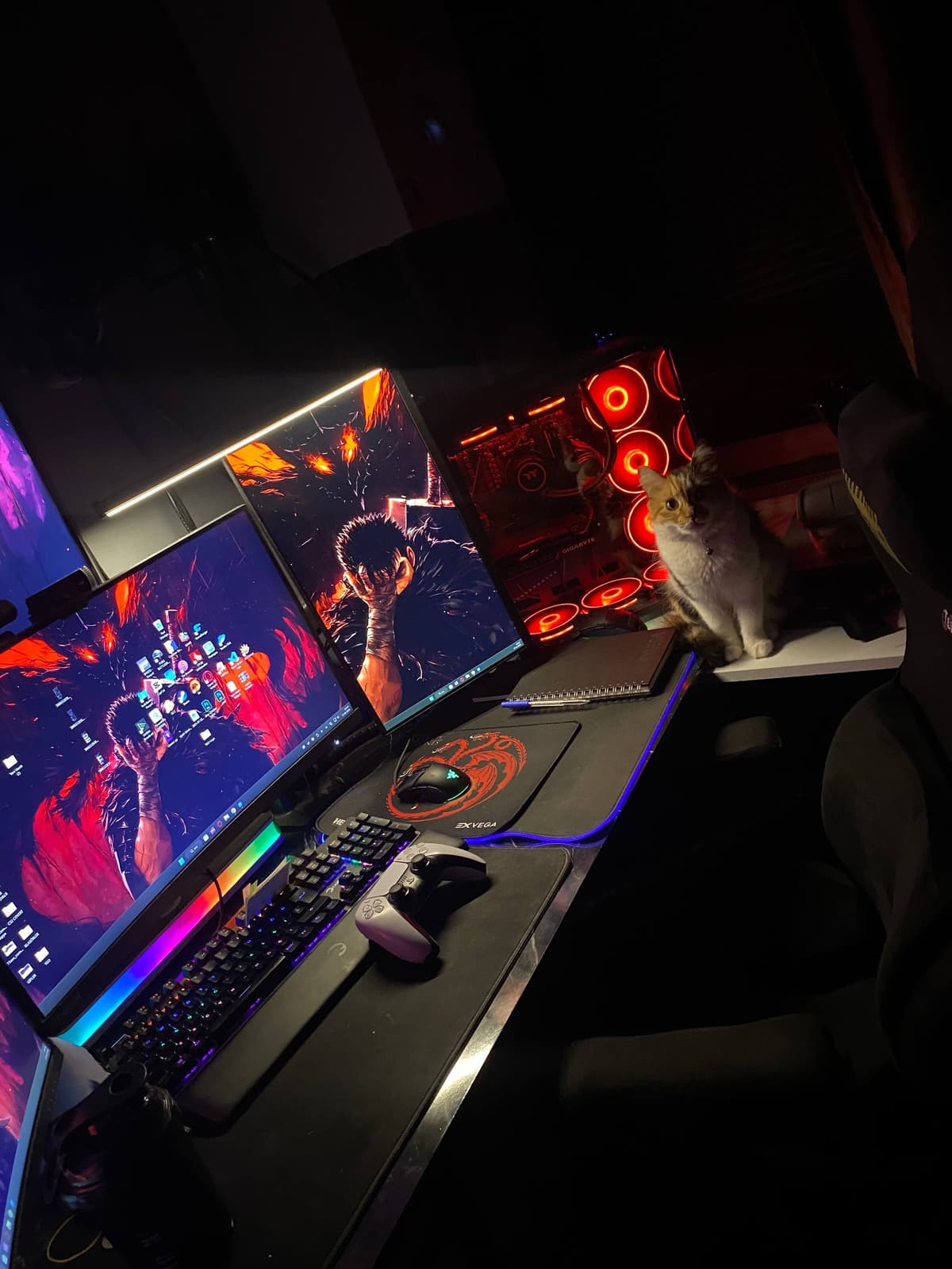 Setup