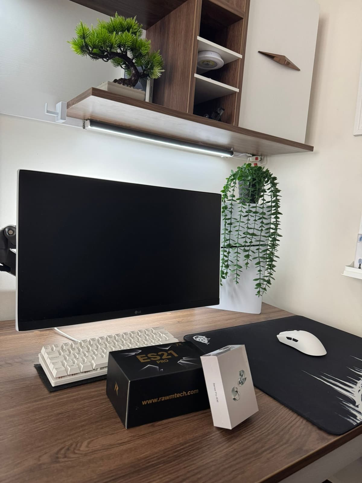 Setup