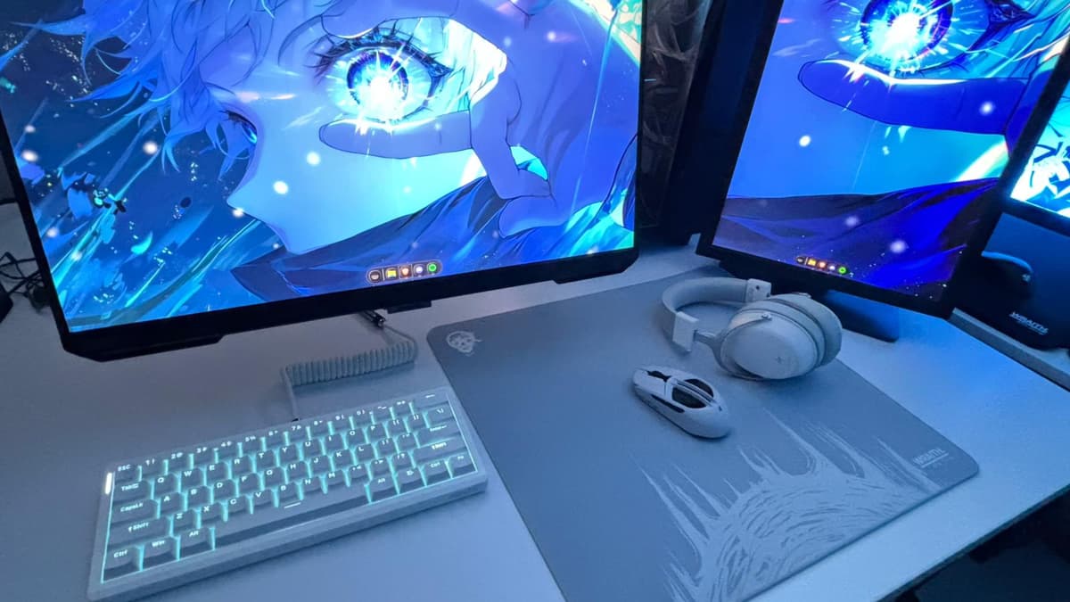 Setup