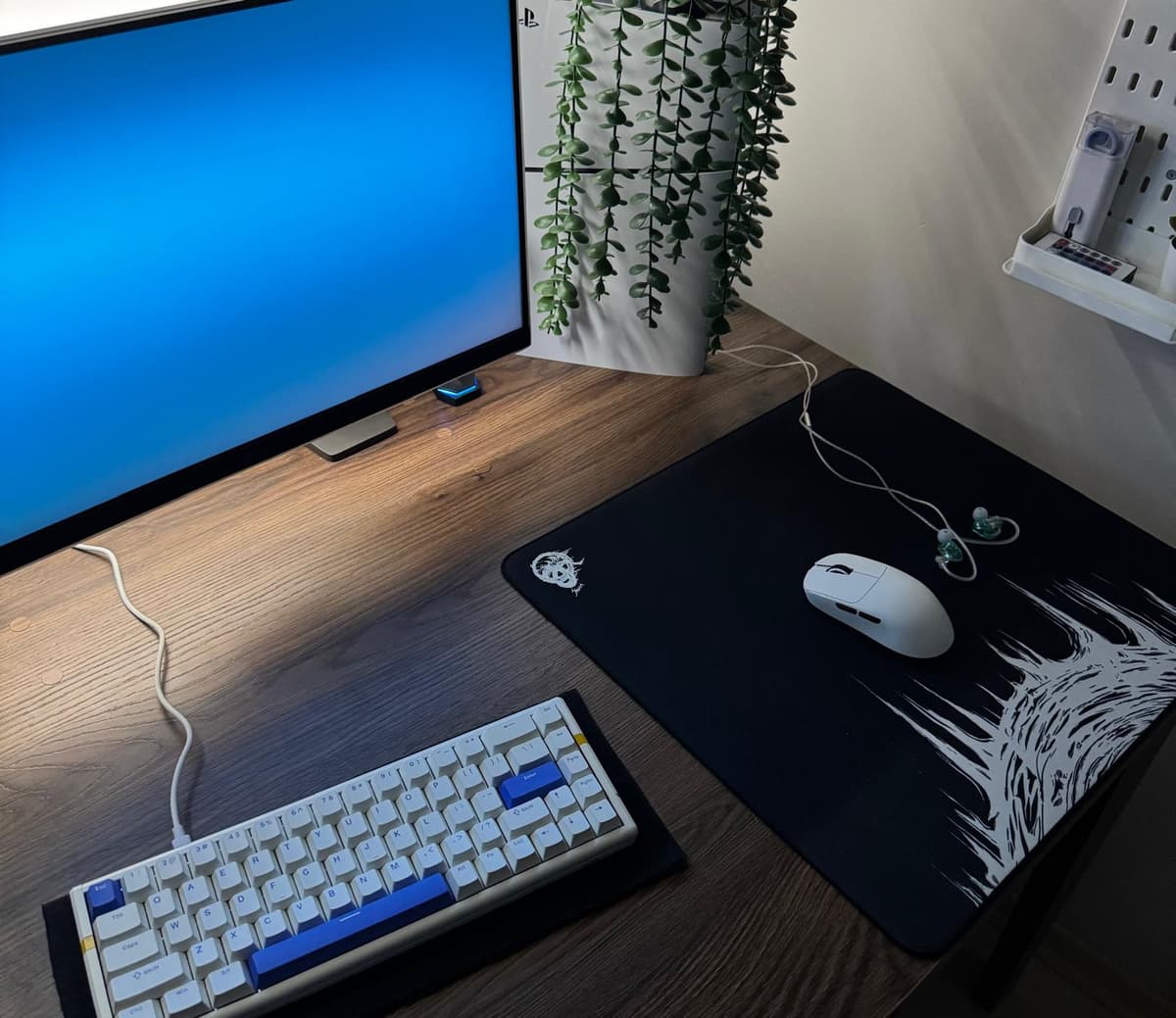 Setup