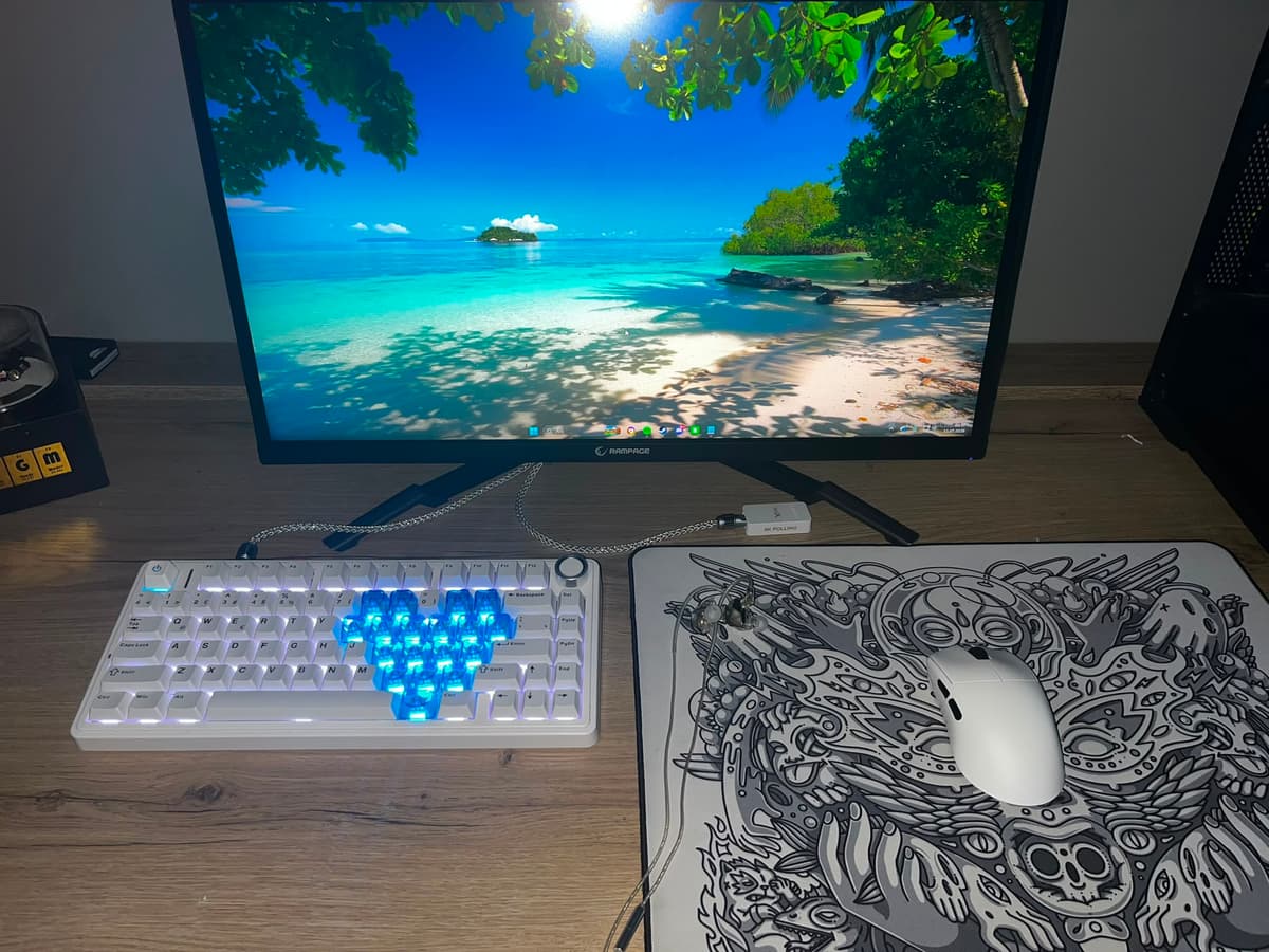 Setup