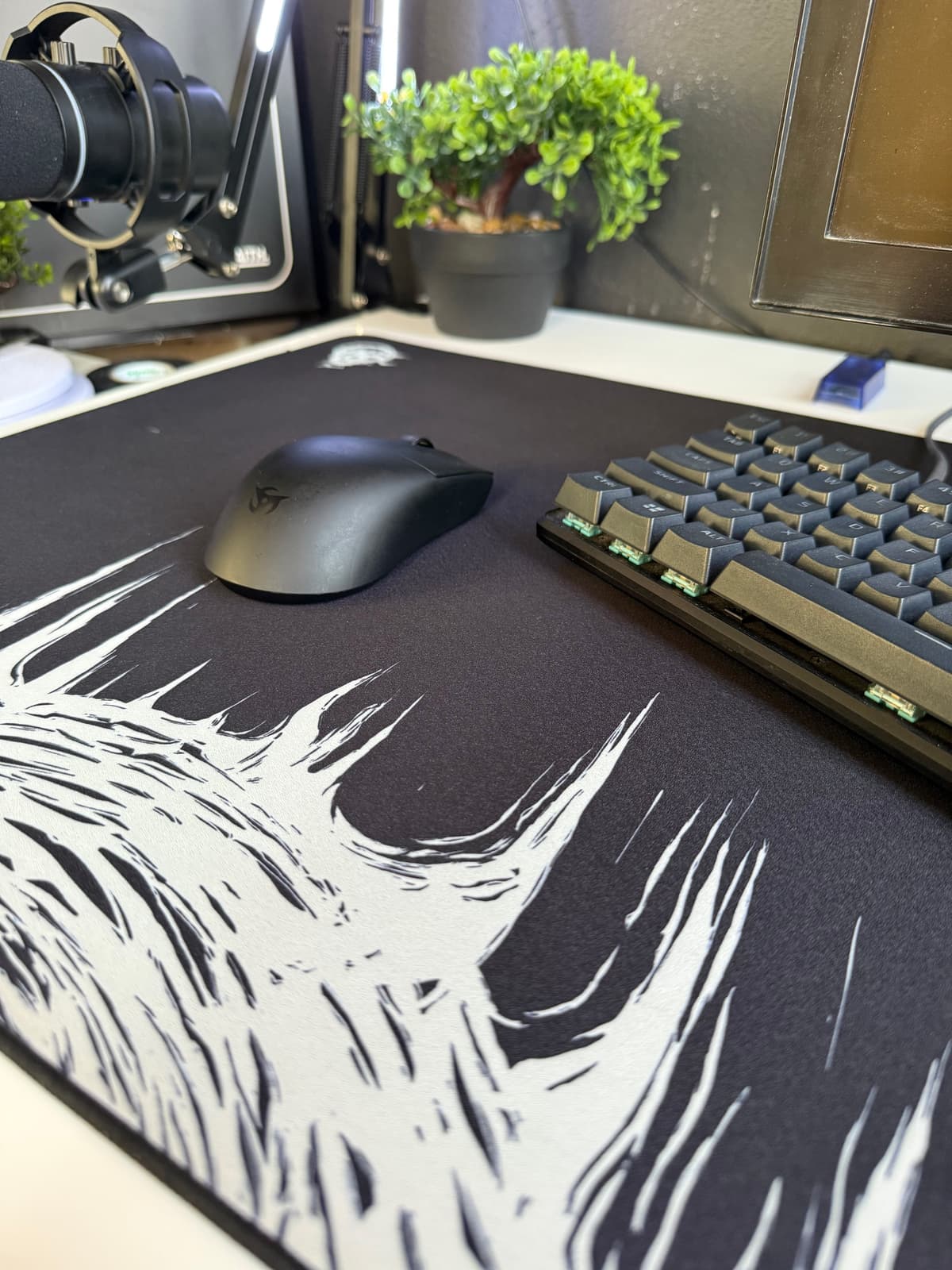 Setup