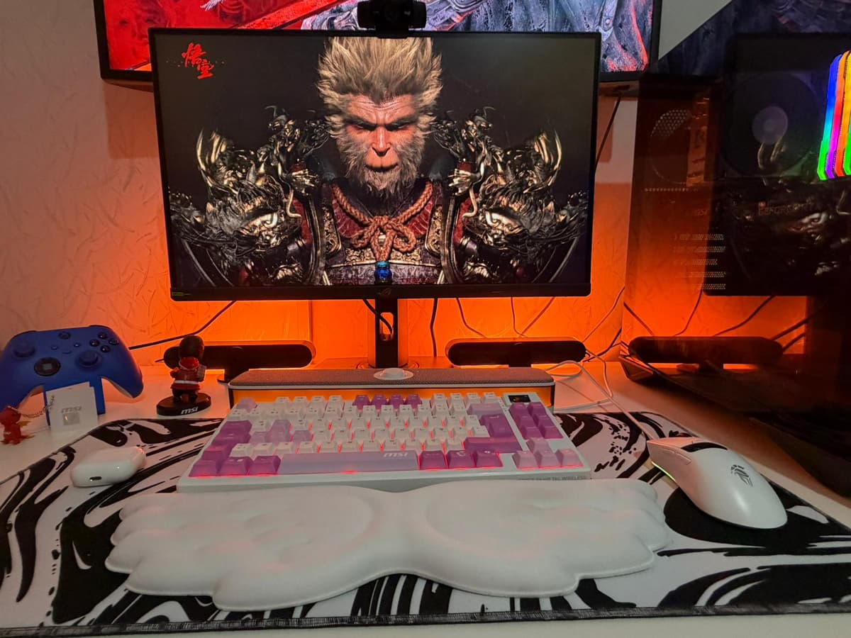 Setup