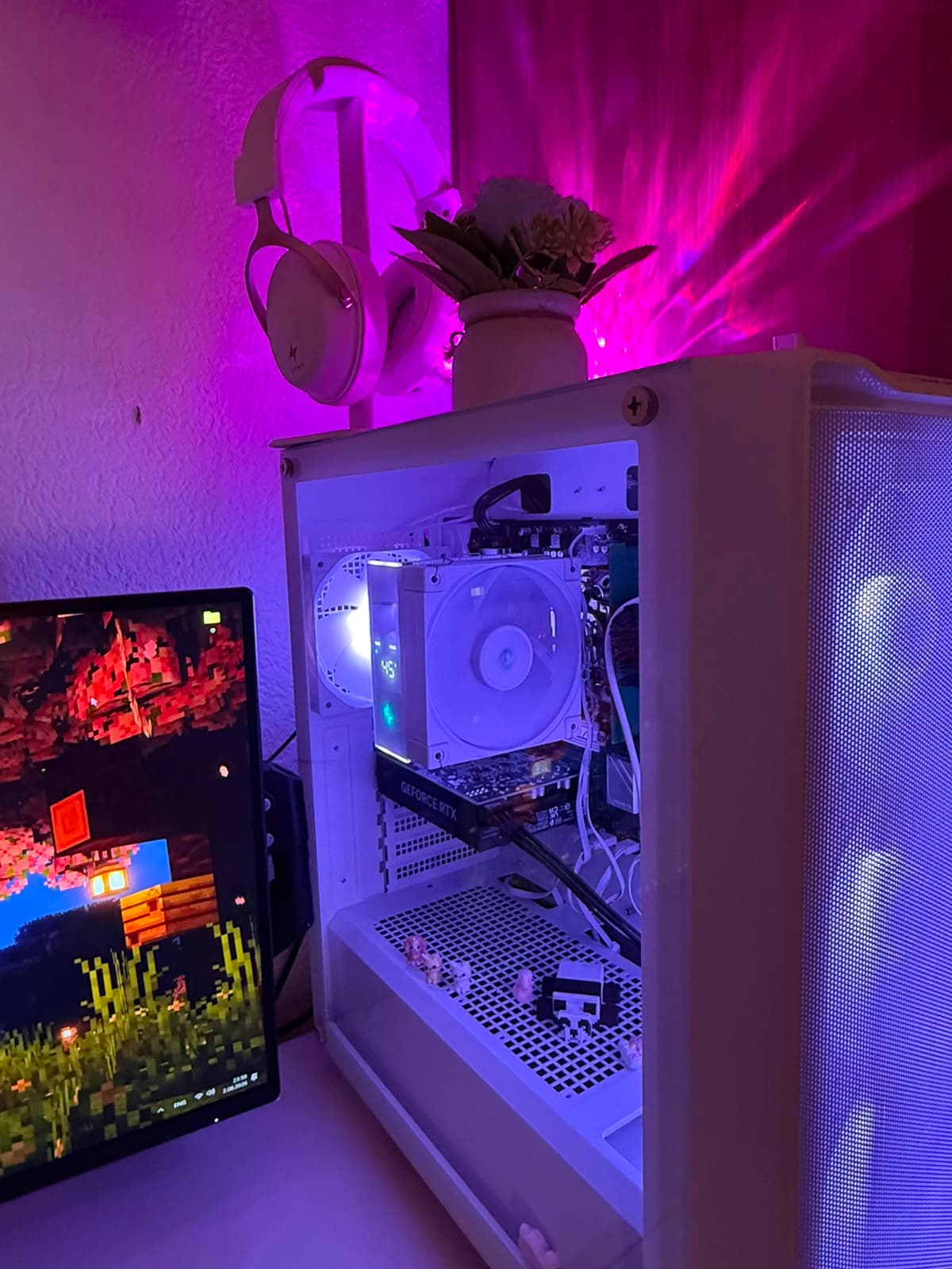 Setup
