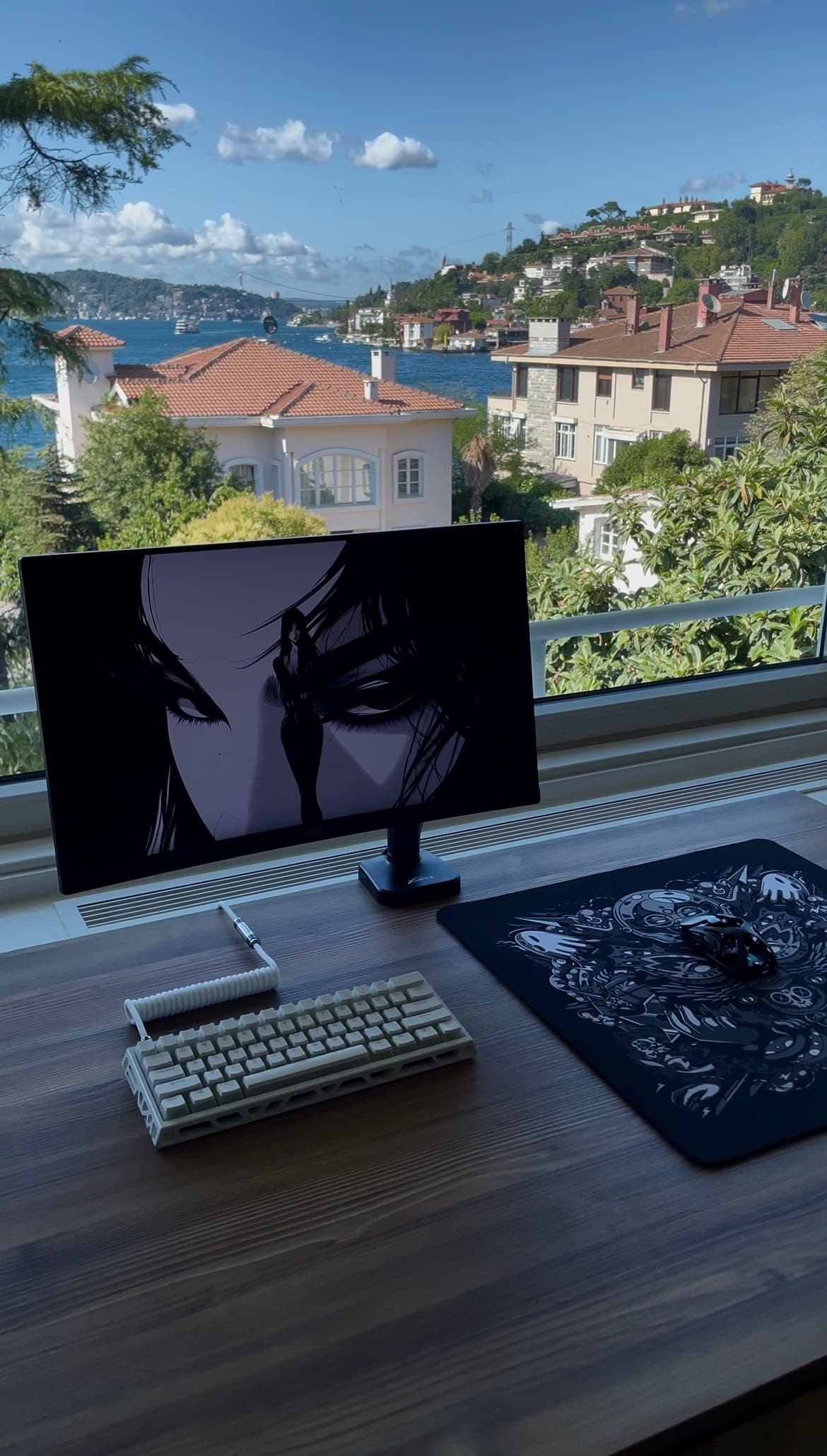 Setup