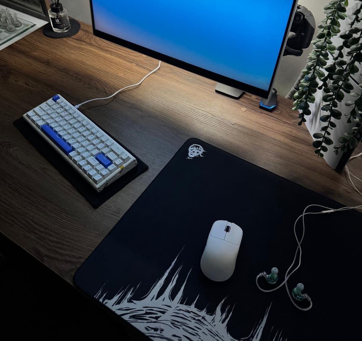 Setup