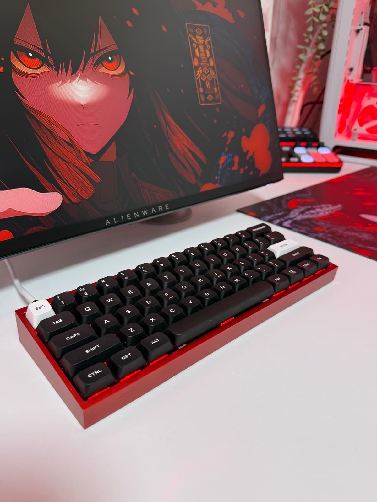 Setup