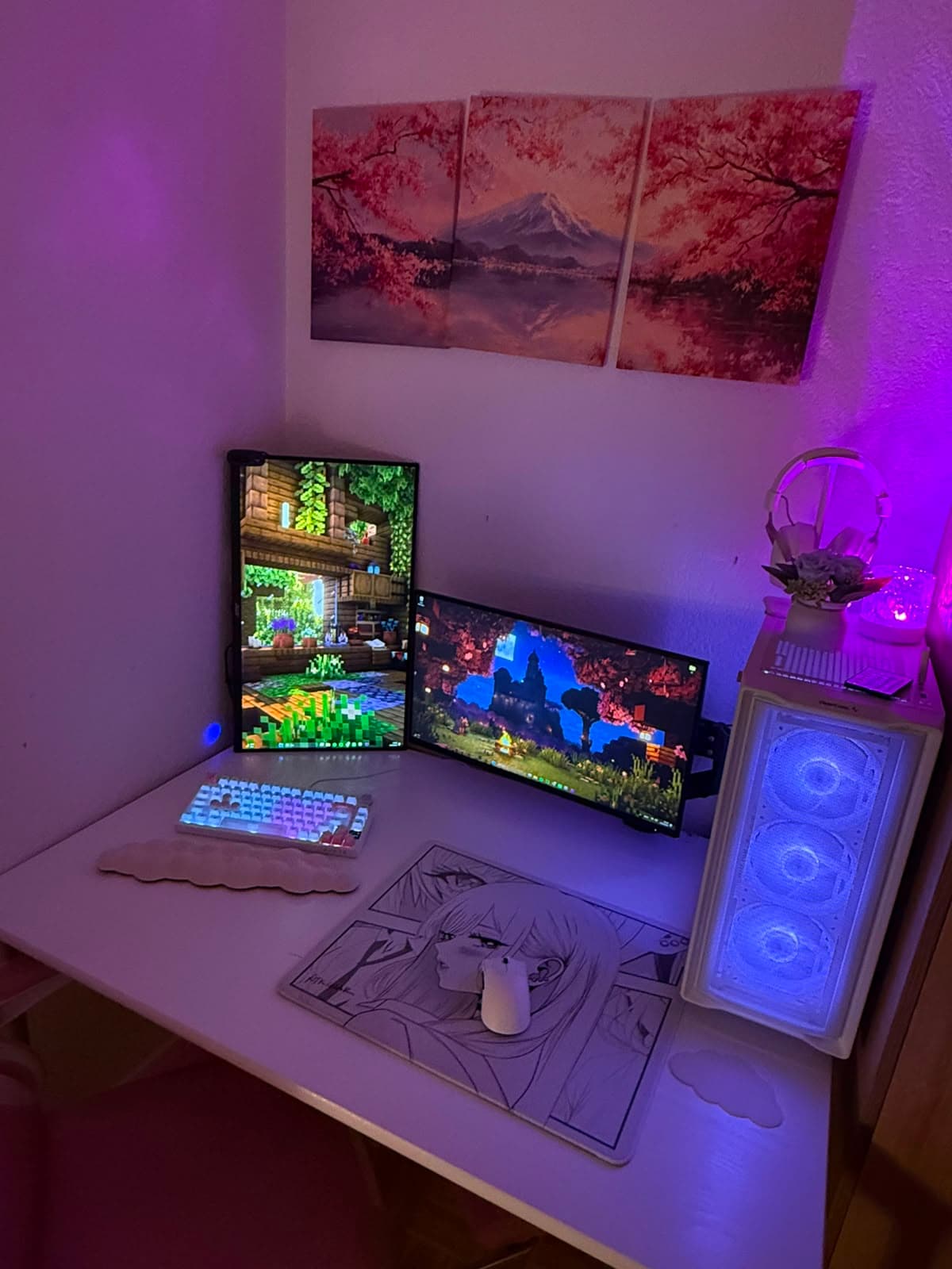 Setup