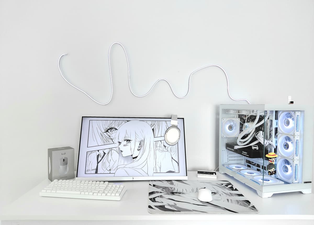 Setup